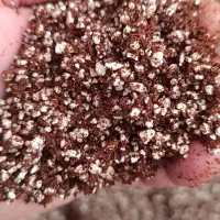 بستر کشت هیدروپونیک|گل و گیاه طبیعی|شاندیز, |دیوار