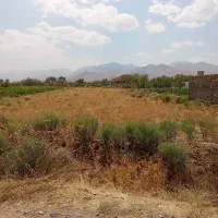 سلام زمین دیم مناسب باغ معاوضه با ماشین