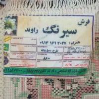 فرش|فرش|گرگان, |دیوار