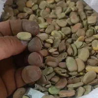باقالی درجه یک|عمده‌فروشی|اهواز, فتح|دیوار