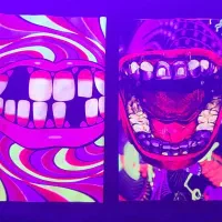 اسکارف|لباس|بجنورد, |دیوار