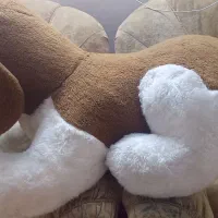 عروسک بزرگ سگ