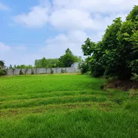 زمین مسکونی به مساحت ۷۸۰ متر ابتدای جاده فومن|فروش زمین و ملک کلنگی|رشت, پسیخان|دیوار