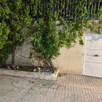 سوئیت اجاره روزانه کد ۸ حافظ|اجارهٔ کوتاهمدت آپارتمان و سوئیت|مشهد, هفت تیر (آب و برق)|دیوار