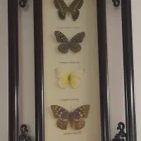 تابلو مدرن و تابلو پروانه