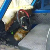 نیسان مدل ۹۸|خودرو سواری و وانت|ارومیه, |دیوار