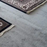 موکت پالاز درحد نو