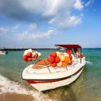 تور.تفریحات گردشگری|تور و چارتر|کیش, |دیوار
