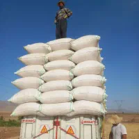 کاه دیم بدون خاک سنگ. بشرط