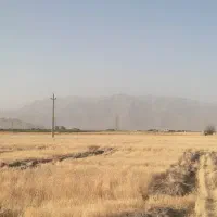 زمین جاده روانسر طرح هادی نزدیک شهر ساخت ویلایی|فروش زمین و ملک کلنگی|کرمانشاه, |دیوار