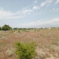 باغ ۹۰۰۰هزار متر|فروش زمین و ملک کلنگی|نیر (اردبیل), |دیوار