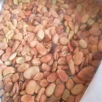 باقلا خوش پخت