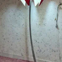 آباژور ایستاده