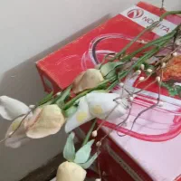 جاکلیدی چتری|صنایع دستی و سایر لوازم تزئینی|شیراز, احمدآباد|دیوار