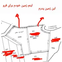 زمین کشاورزی برنج|فروش دفتر صنعتی، کشاورزی، تجاری|کوچصفهان, |دیوار