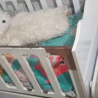 تخت گهواره ای