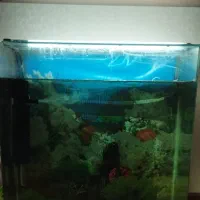 آکواریوم شیشه خم با لوازم و متعلقات نو