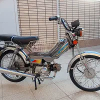 رایکا 70آنتیک لاکاغذی|کلکسیون اشیاء عتیقه|تهران, ترمینال غرب|دیوار