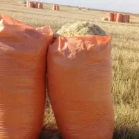 کاه|خدمات باغبانی و درختکاری|ایلام, |دیوار