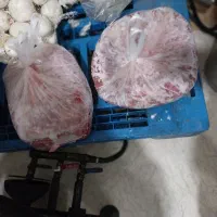 گوشت نخودی|خوردنی و آشامیدنی|تهران, خلیج فارس|دیوار