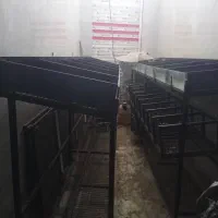 دکور میوه فروشی شیک|حراج|مرودشت, مختارآباد|دیوار