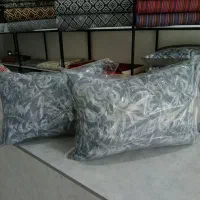 بالشت 1 کیلویی