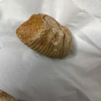 فسیل شهاب ونمونه الماس راف