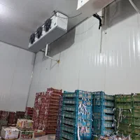 طراحی و تعمیرات انواع سردخانه زیر صفر بالای صفر|خدمات پیشه و مهارت|شیراز, پودنک|دیوار