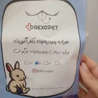 پد محافظ کف پای خرگوش