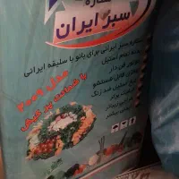 سبزی خرد کن ۳کیلویی|خردکن، آسیاب، غذاساز|تهران, وحیدیه|دیوار