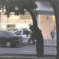 مغازه بلوار مدرس ۲۹۷متر اجاره ای