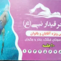 کارت استخر قیدار نبی