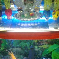 آکواریوم با دکور و تجهیزات کامل شیشه خم|ماهی|مشهد, نوید|دیوار