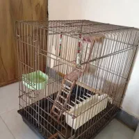 قفس پرنده با تجهیزات کامل