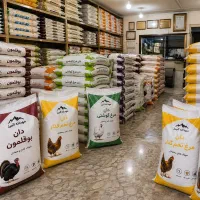 خوراک باکیفیت، تفاوت را در گله خود ببینید