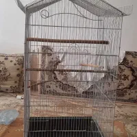 قفس پرنده