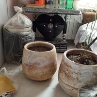 تعداد زیادی گلدان زیر گلدانی نو و کارکرده فروشی|گل و گیاه طبیعی|تهران, چهارصد دستگاه|دیوار