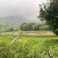 زمین مسکونی چهلستون