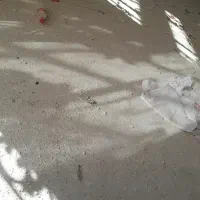 راهنمایی میخام