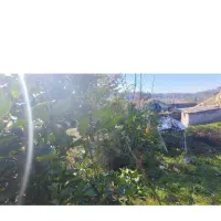 زمین-مسکونی