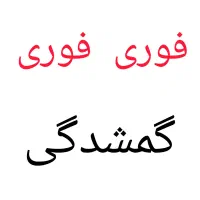 گمشدگی