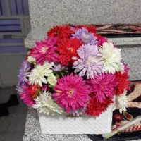 سبد گل برای رو میز