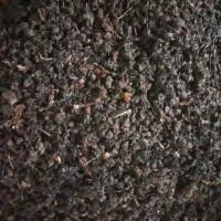 کشمش|خوردنی و آشامیدنی|همدان, |دیوار