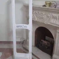 گیت فروشگاهی و دزدگیر