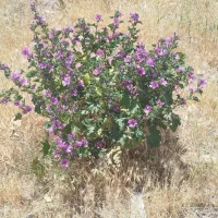 به یک نفر فروشنده نیازمندم