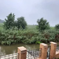 تازه ساخت مبله ‌دید به دریا زیباکنار|فروش خانه و ویلا|خشکبیجار, |دیوار