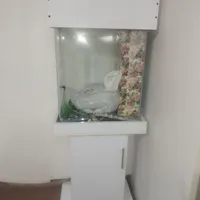 آکواریوم ۵۰متری