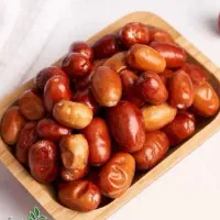 نهالستان رجبی تولید نهال سنجد خرمایی