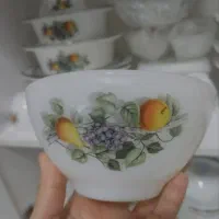 سرویس ظروف گلمیوه۲۳۰تکه۲۴نفره آرکوپال فرانسوی اصل