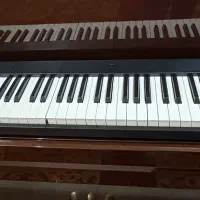 پیانوی تاشو|پیانو، کیبورد، آکاردئون|یزد, |دیوار